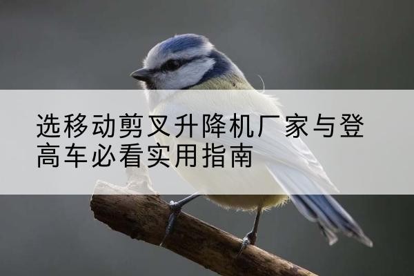 左贡电动升降机厂家-选移动剪叉升降机厂家与登高车必看实用指南