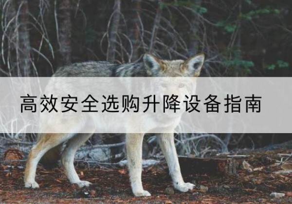 左贡升降货梯厂家推荐-*安全选购升降设备指南