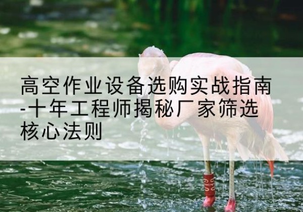 左贡剪叉式升降机厂家-高空作业设备选购实战指南-十年工程师揭秘厂家筛选核心法则
