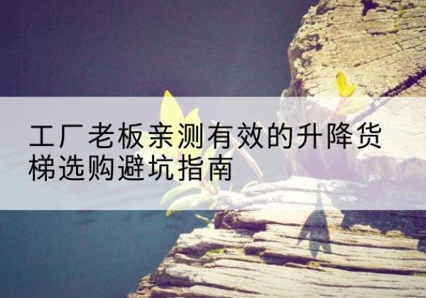 左贡升降货梯怎么选-工厂老板亲测有效的升降货梯选购避坑指南